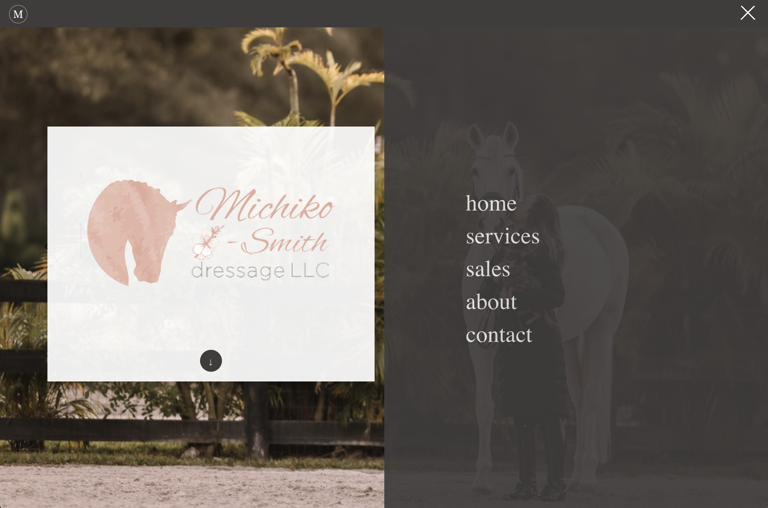 Michiko Smith Dressage home page design