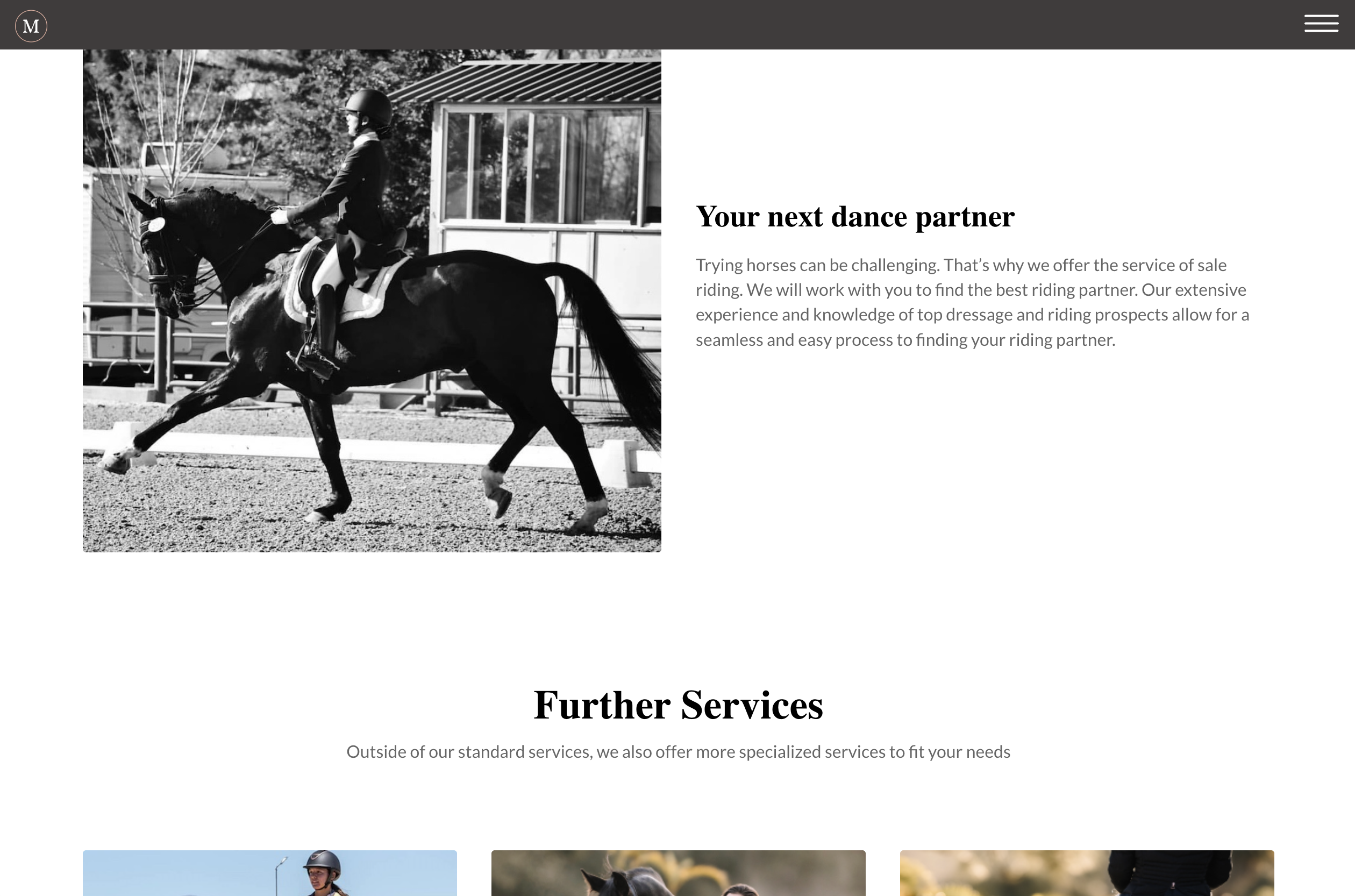 Michiko Smith Dressage sales page design