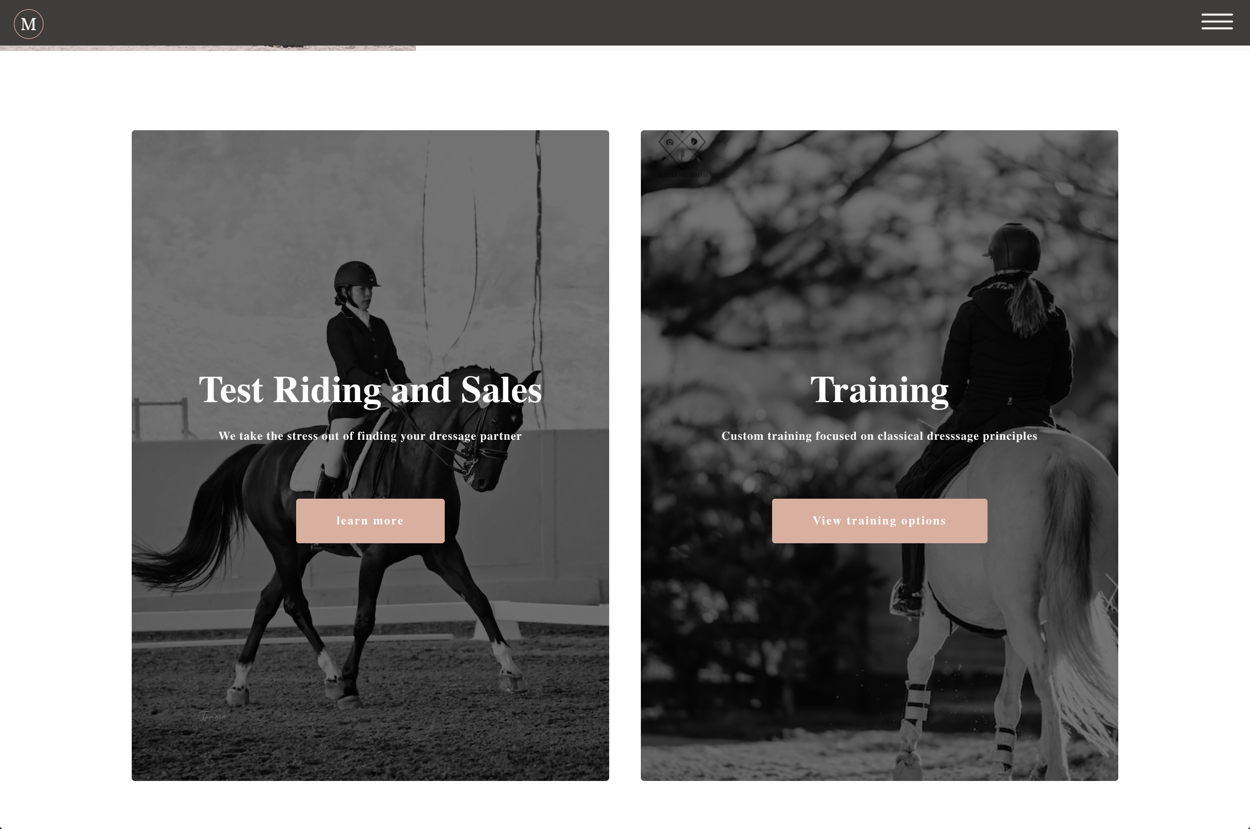 Michiko Smith Dressage services home page design